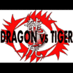 RATED-R  レイテッドアール/RYUKO 龍虎 オリジナルパッチ Dragon vs Tigerモデル
