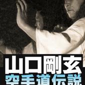 DVD 全日本空手道剛柔会創立60周年記念作品 山口剛玄 空手道伝説